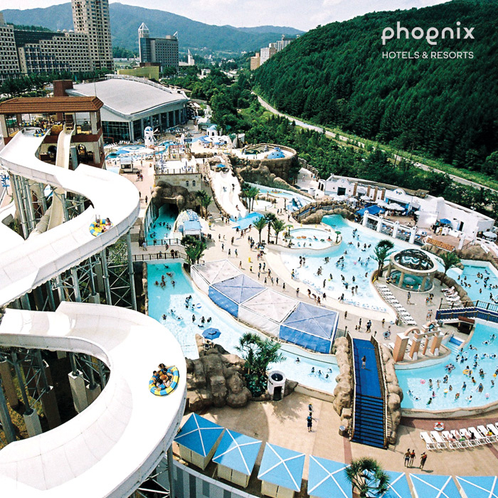 휘닉스평창 블루캐니언. [티몬 제공]