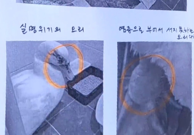 [온라인커뮤니티]