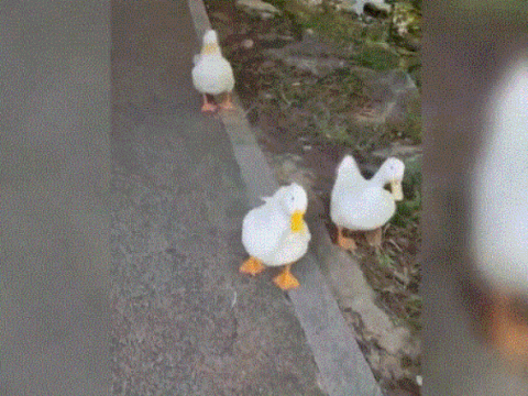 [온라인커뮤니티]