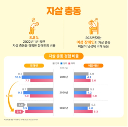 ‘통계로 보는 장애인의 정신건강’[한국장애인개발원 자료]