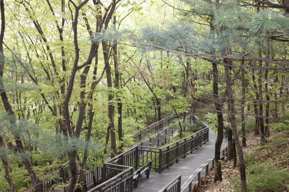 Eunpyeong-gu rebrands as nature-friendly, healthy district
