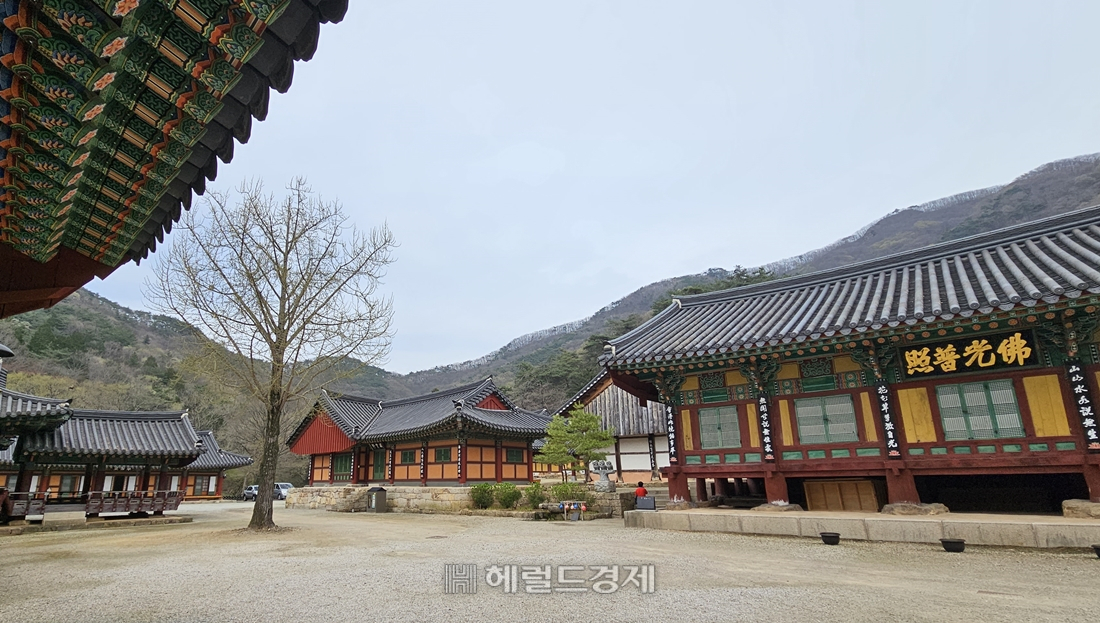 불갑사 경내
