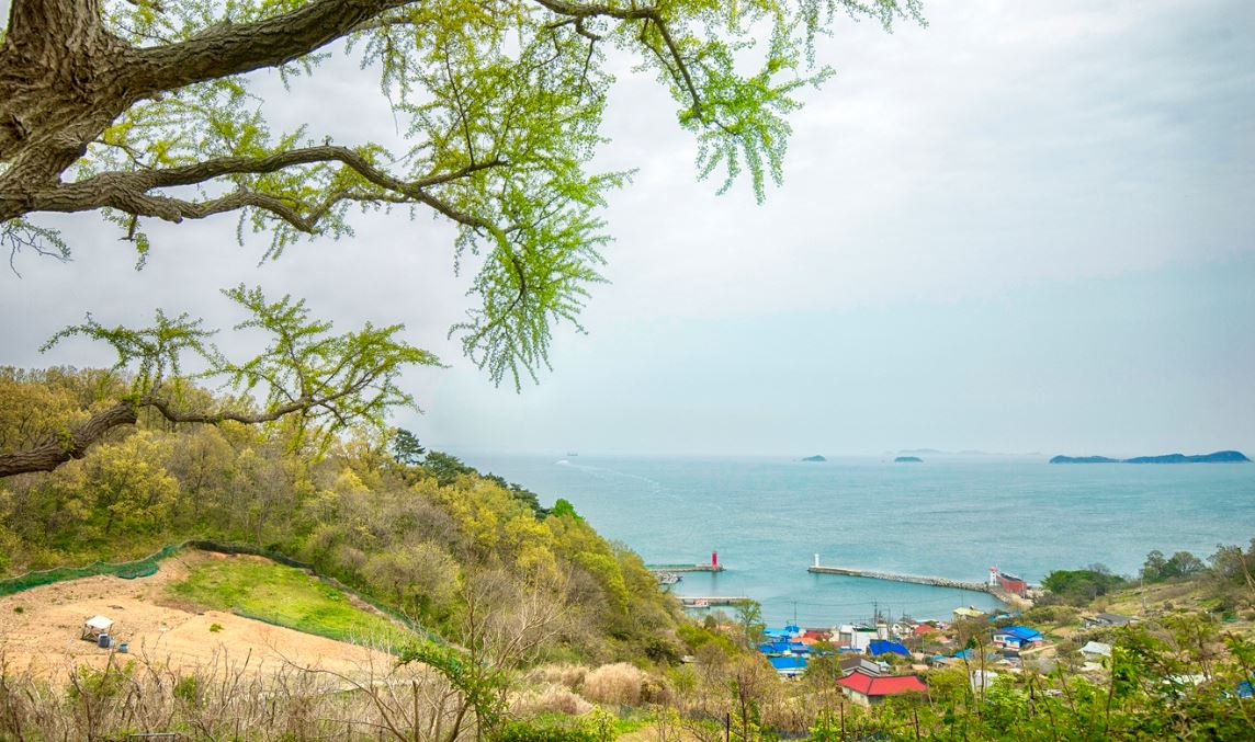 풍도.