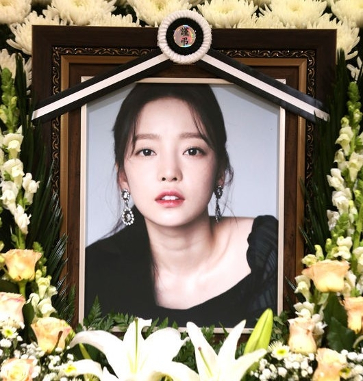 故 구하라. [헤럴드DB]