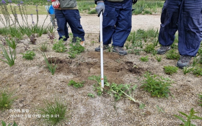 태화강 국가정원 식물 도난 현장. [울산시]