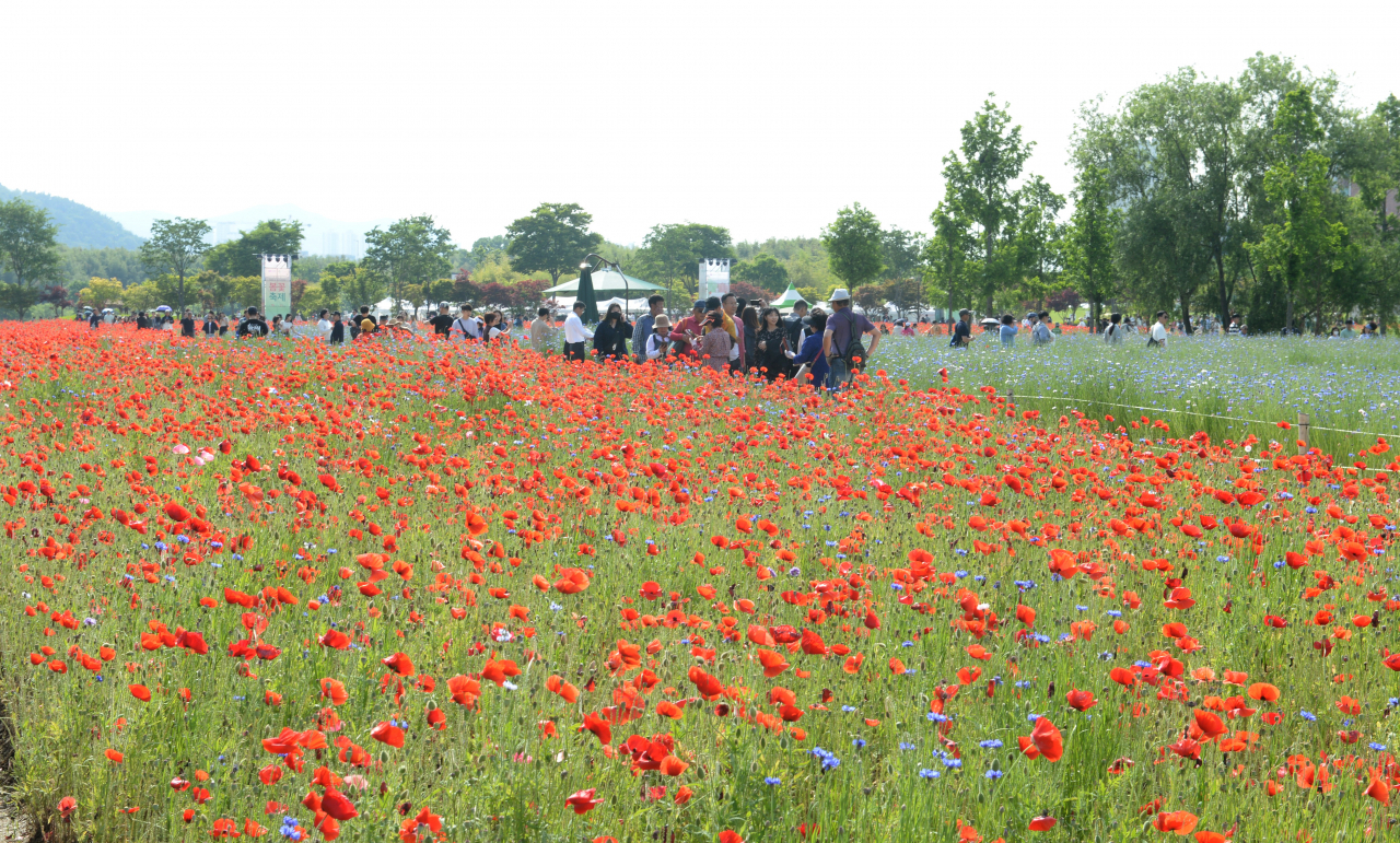 지난해 열린 태화강 국가정원 봄꽃축제. [뉴시스]