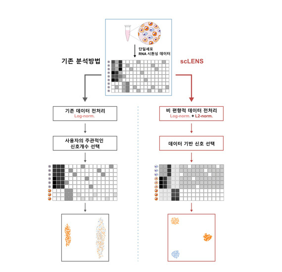 전사체 분석 빅데이터에서 유용한 생물학적 정보만 골라내는 도구 scLENS 모식도.[IBS 제공]