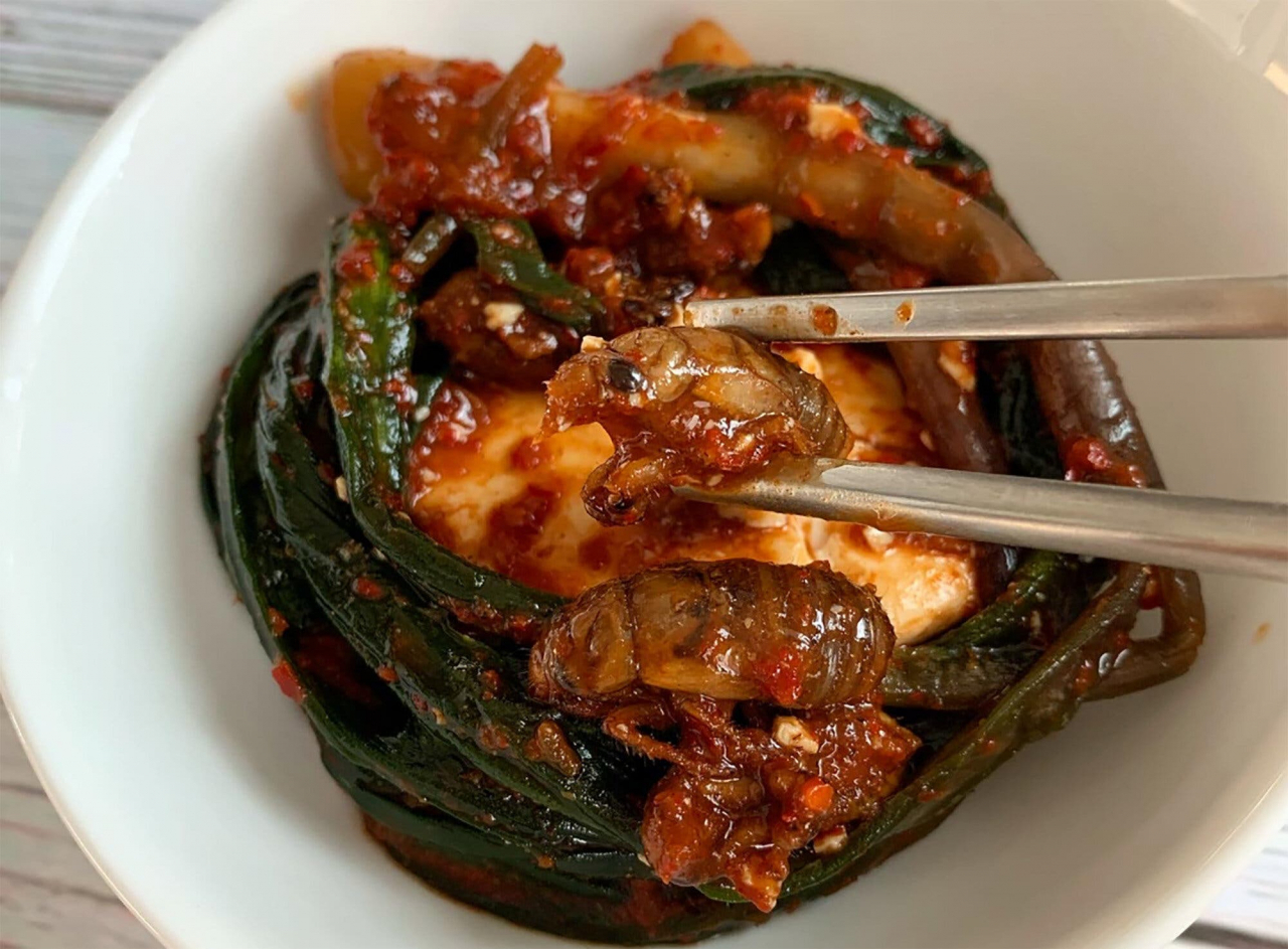 조셉 윤이 만든 매미김치. [조셉윤이 운영하는 브루클린벅스]