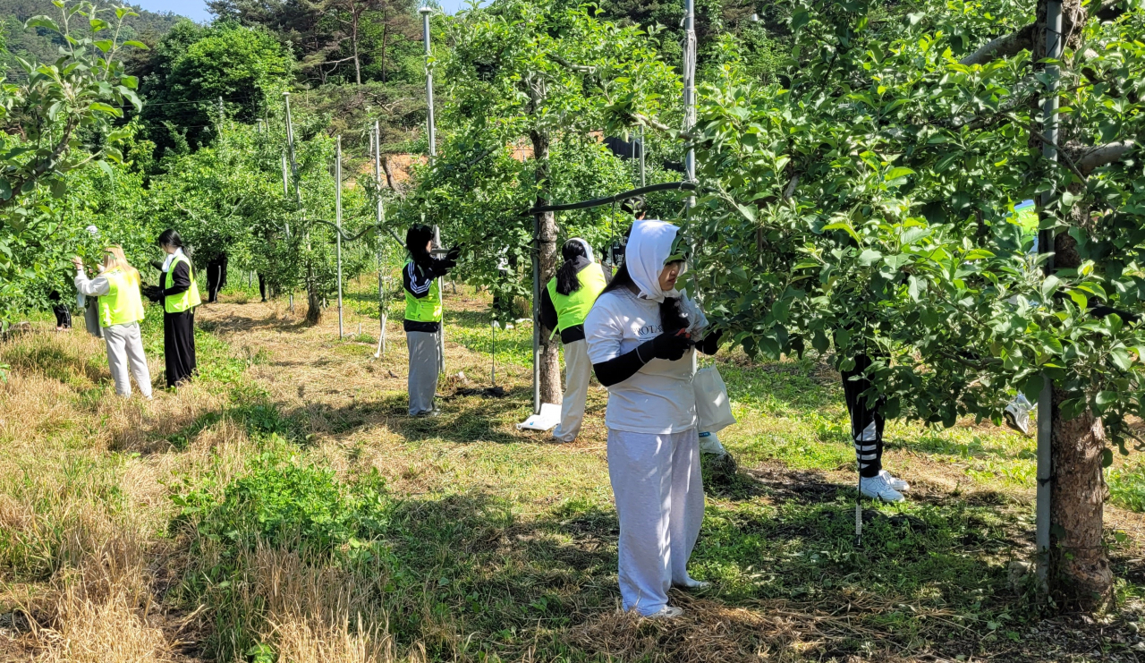 농촌봉사 활동