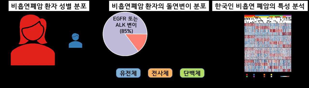 비흡연폐암 유전단백체 분석 연구의 개요.[KIST 제공]