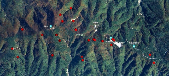 토함산 산사태 발생 지점. [녹색연합 제공]