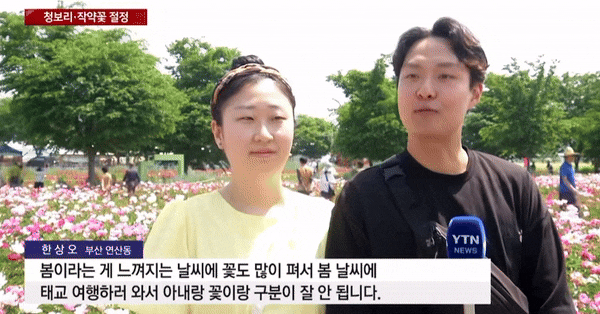 한 남성이 뉴스 인터뷰 도중 아내를 향해 달달한 멘트를 해 화제가 되고 있다. [YTN 캡처]