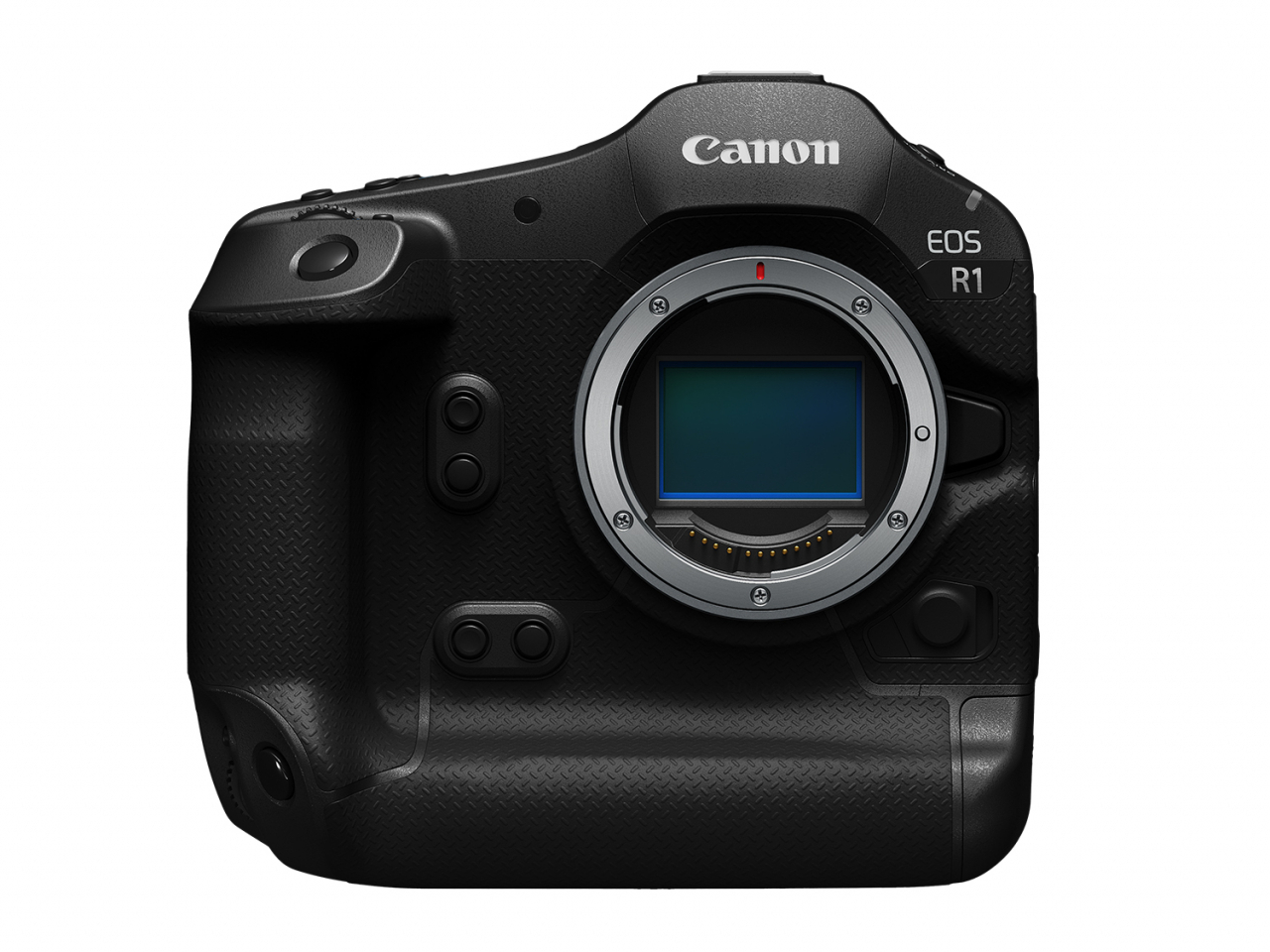 'EOS R1' 이미지. [캐논 제공]