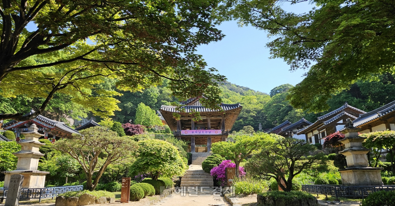 녹음으로 둘러싸인 부석사의 전경