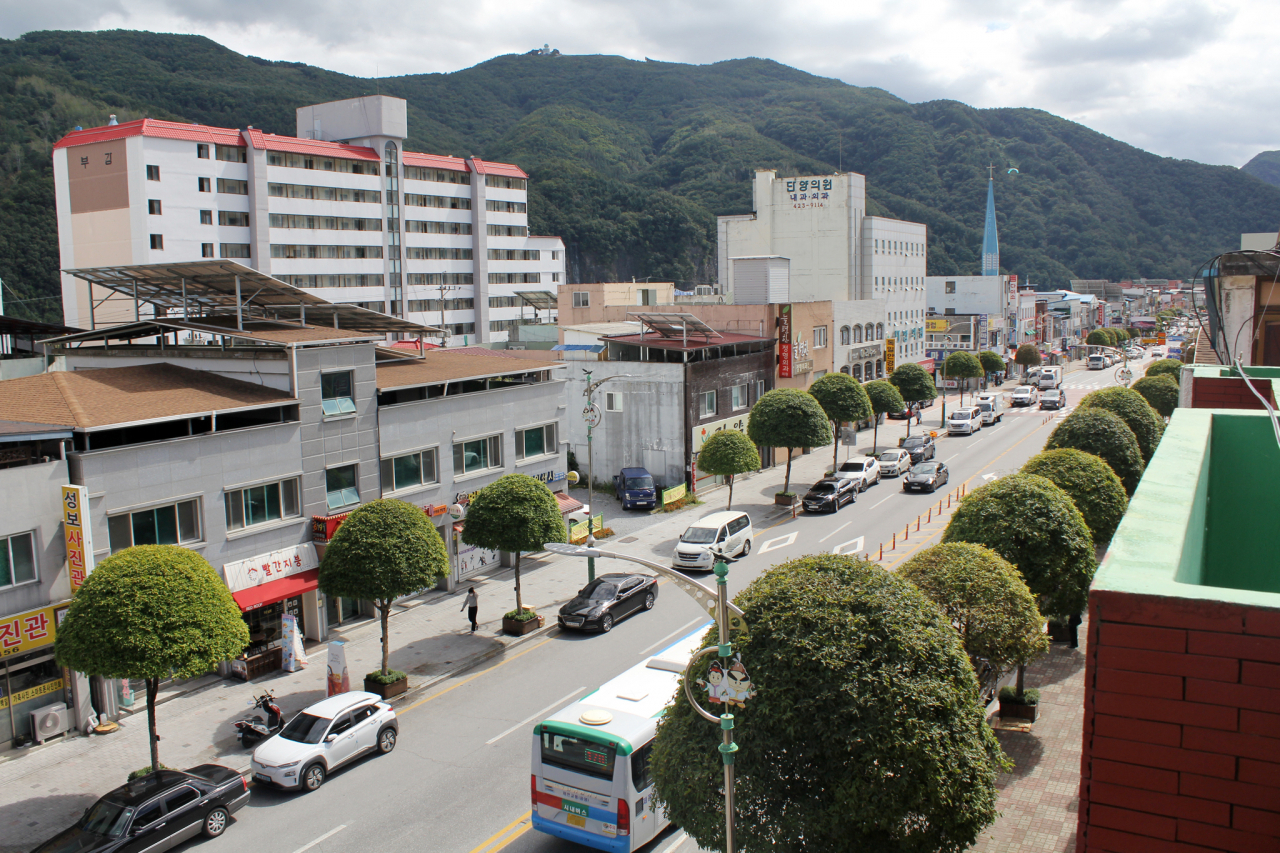 충북 단양군 복자귀 나무 가로수길 전경
