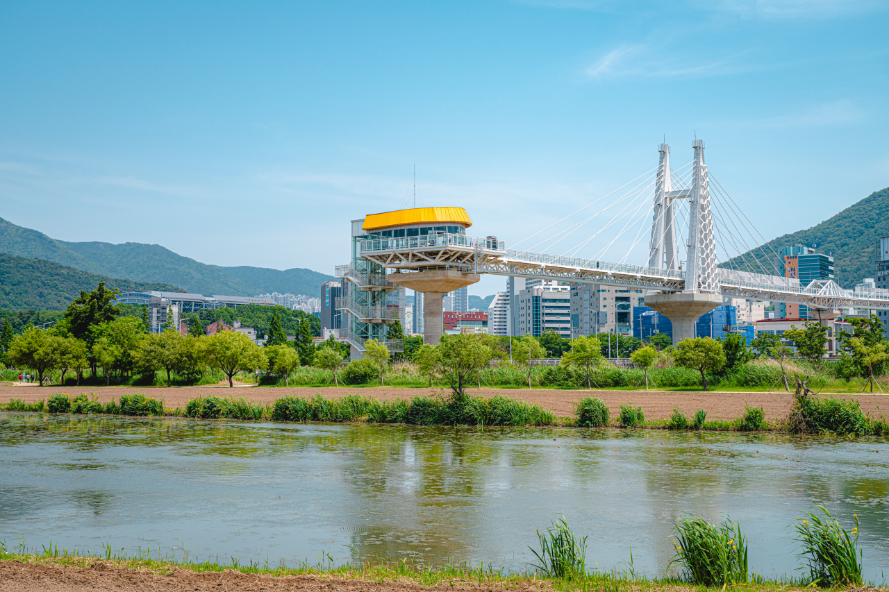 부산 구포국수, 왜 가는데도 쫄깃할까..밀 축제 창설[함영훈의 멋·맛·쉼]