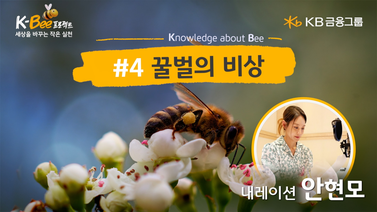 [KB금융그룹 제공]