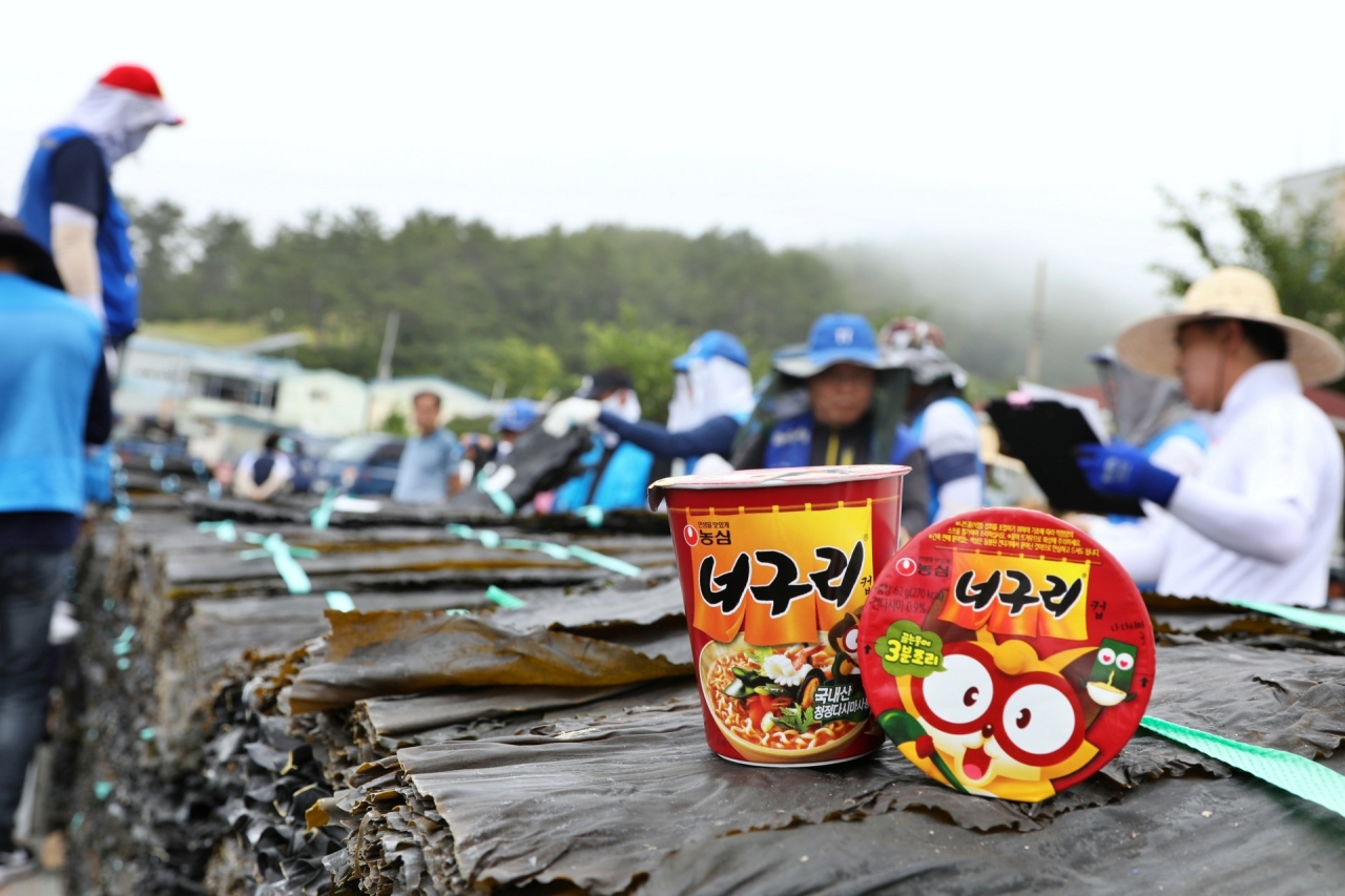 다시마 위판 현장. [농심 제공]