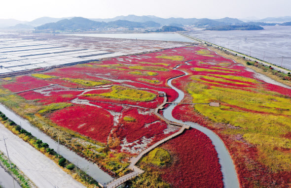 전남 신안 증도 소금밭