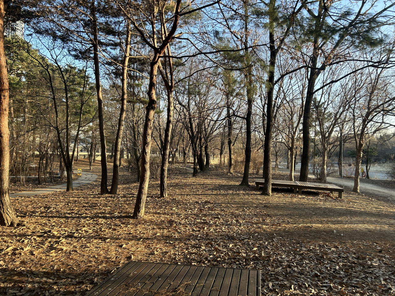광야숲 확대 조성 전.[서울시 제공]