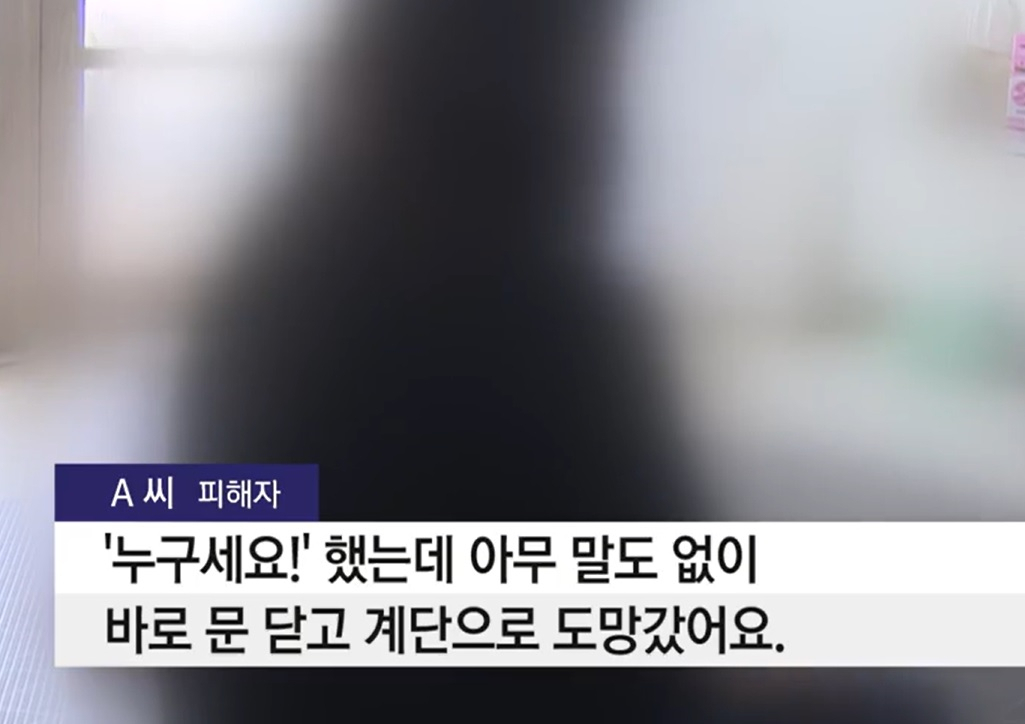 [YTN 캡처]