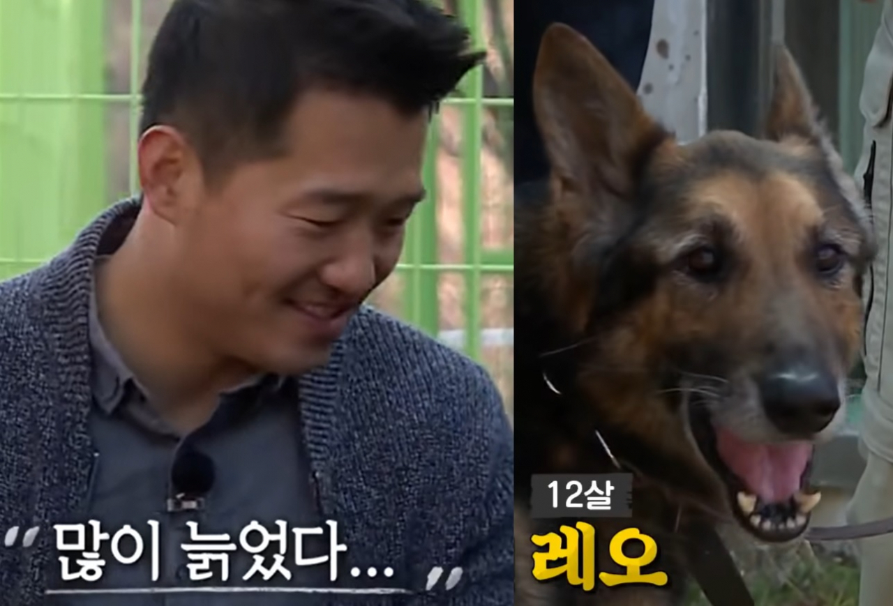 안락사를 실시한 강형욱 보듬컴퍼니 대표의 반려견 레오가 과거 공중파 방송에 출연한 모습. [SBS '집사부일체' 캡처]
