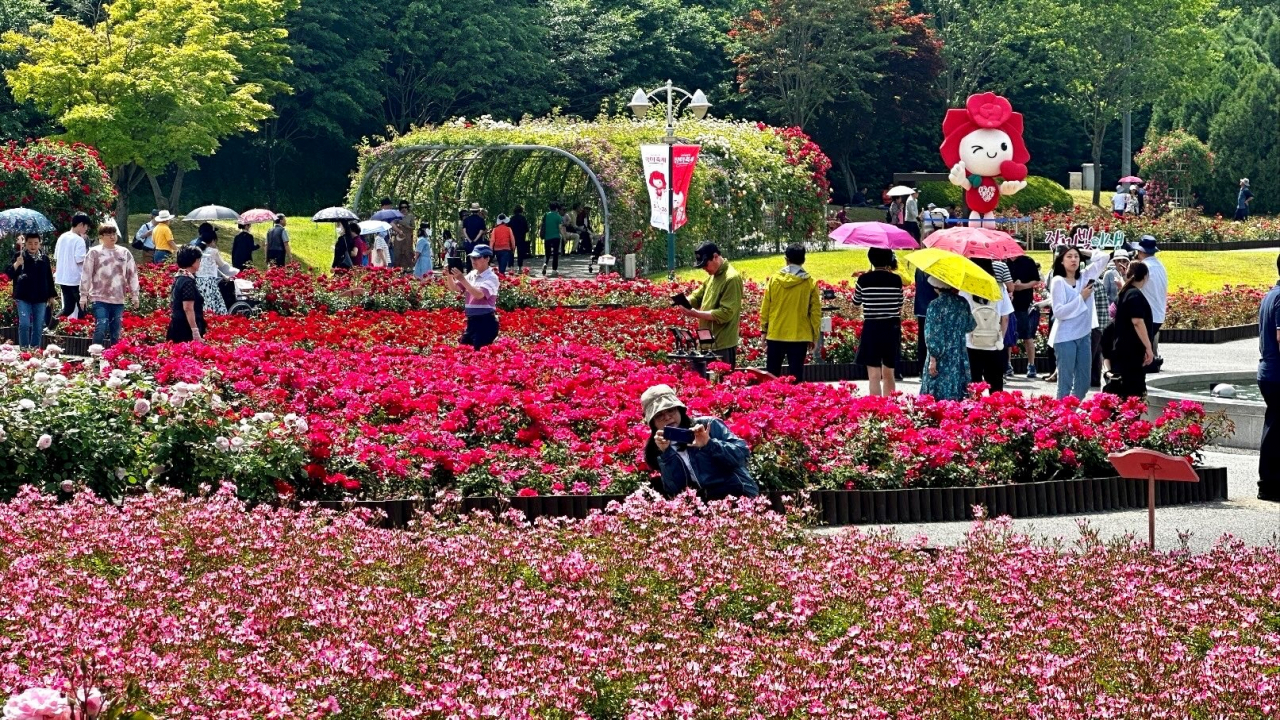 23일 울산대공원 장미축제를 찾은 관람객들이 사진을 찍고 있다. [SK이노베이션 제공]