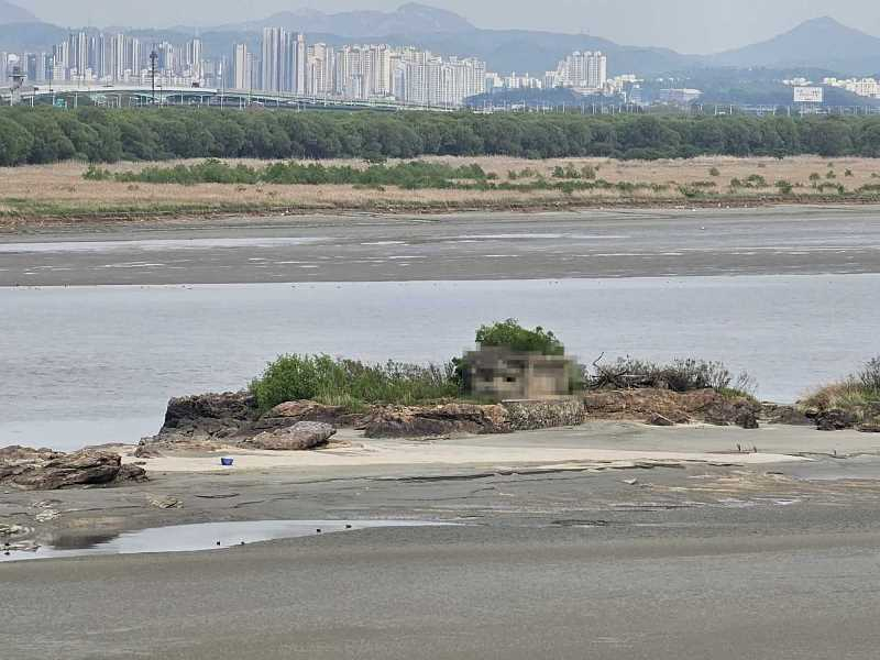김포 한강 내 섬 독도(獨島)