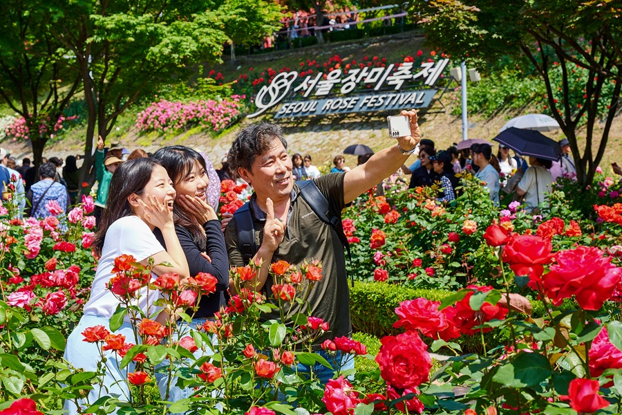 서울 중랑구는 중랑천 일대에서 18~25일 열린 ‘2024 중랑 서울장미축제’ 관람객이 처음으로 300만명을 돌파한 가운데 성공적으로 막을 내렸다고 28일 밝혔다.[중랑구 제공]