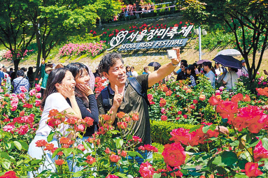 서울 중랑구는 ‘2024 중랑 서울장미축제’관람객이 처음으로 300만명을 돌파한 가운데 성공적으로 막을 내렸다고 28일 밝혔다. [중랑구 제공]