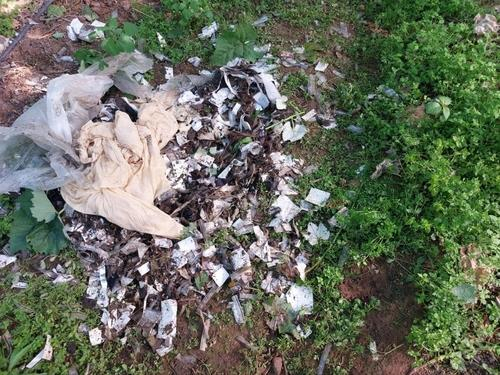 29일 경북 영천시 대전동 한 포도밭에서 북한이 날려보낸 것으로 추정되는 '오물 풍선'이 발견됐다. 연합