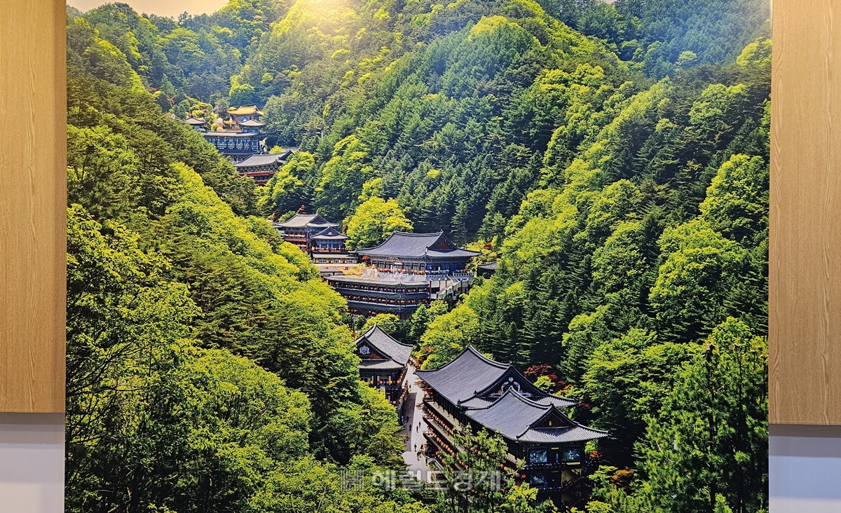 멀리서 구인사를 찍은 사진. 좁은 계곡 부지에 큼지막한 건물이 들어선 모습이다.