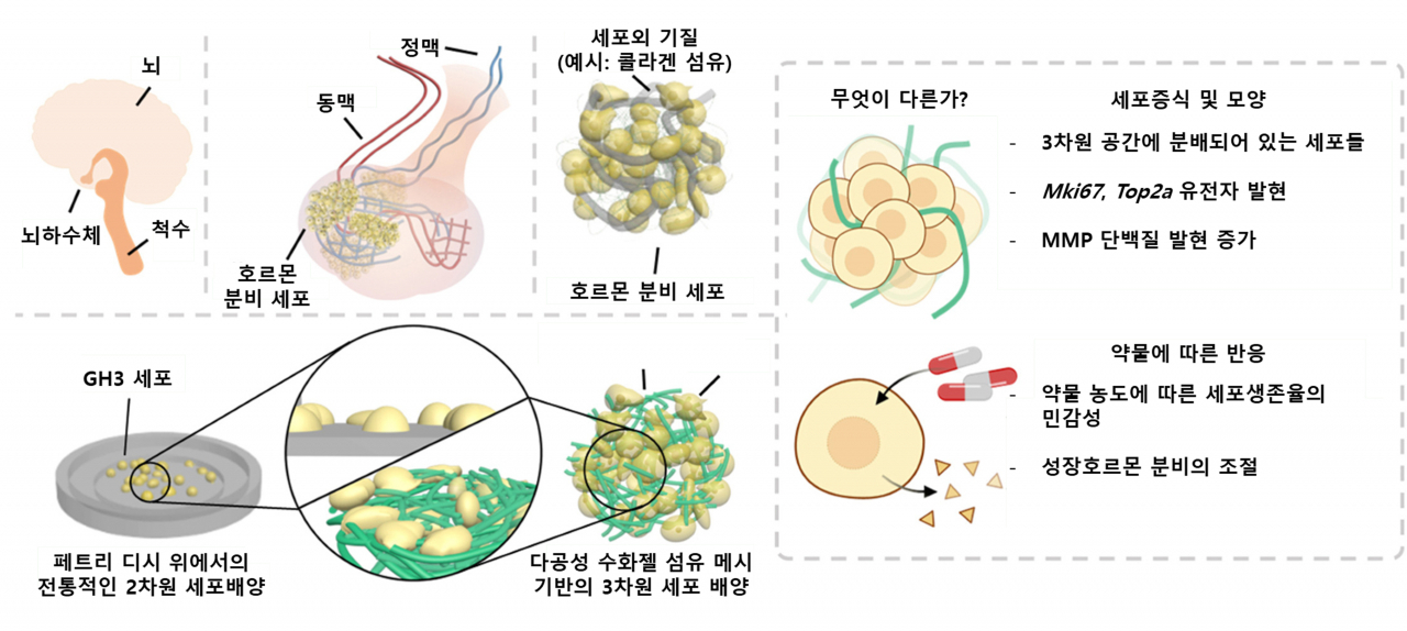 이번 연구 모식도.[GIST 제공]