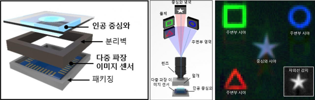새 눈을 모방한 카메라의 모식도 및 측정 결과.[IBS 제공]