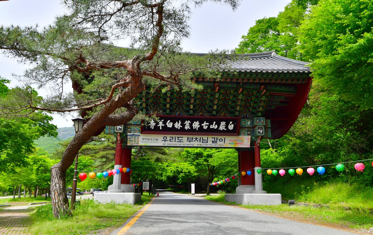 백양사 국립공원 주차장 무료개방