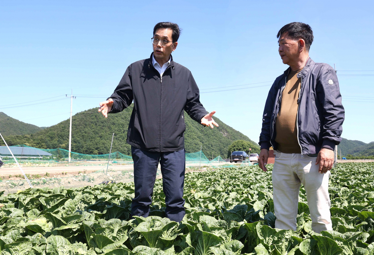 한훈 농림축산식품부 차관이 4일 봄배추 주산지인 경북 문경시 농암면을 방문해 봄배추 작황을 점검하고 있다. [연합]