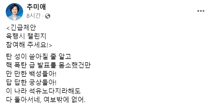 [추미애 더불어민주당 의원 5일 페이스북 게시글 캡처]