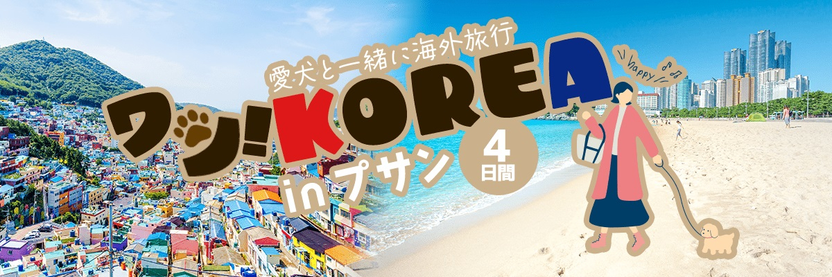 일본 댕댕이 동반 한국 부산여행