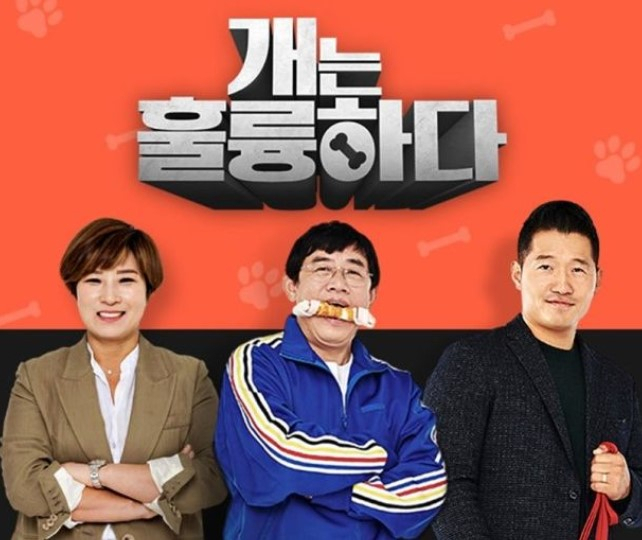 '개훌륭' 4주 만에 방송 재개…