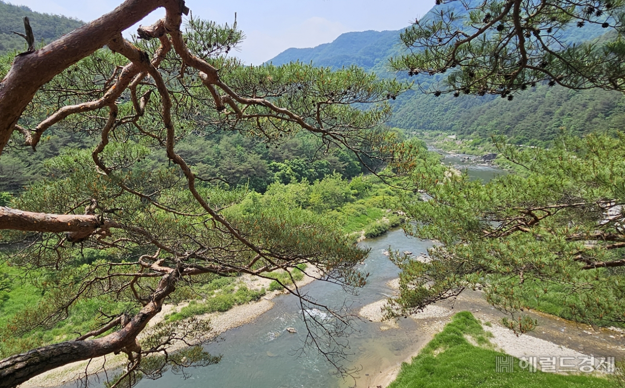 부처님 사리를 모신 무릉도원의 절, 영월 법흥사 [정용식의 내 마음대로 사찰여행 비경 100선]