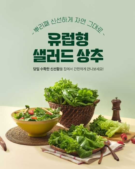[롯데온 제공]