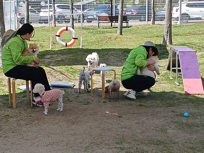 순천만국가정원 서문 반려견 놀이터.