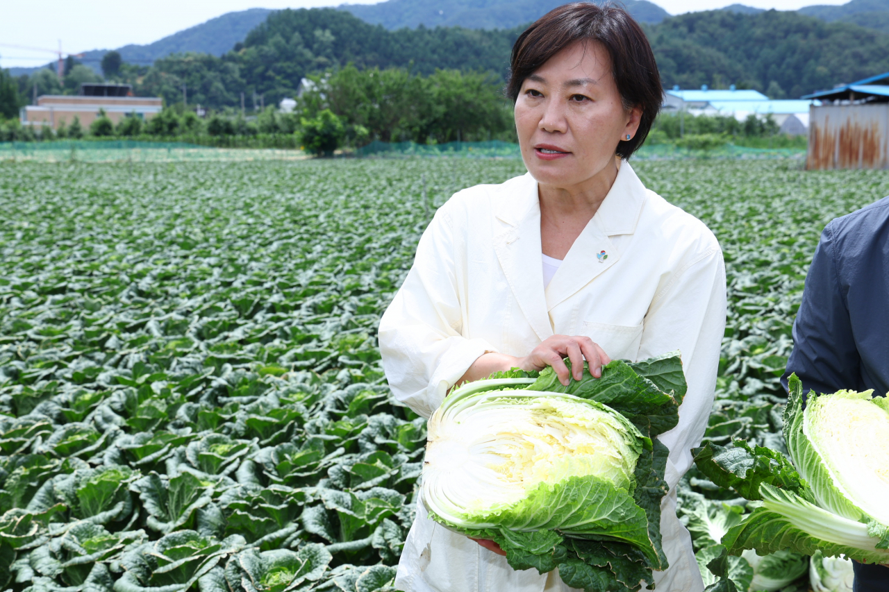 송미령 농림축산식품부 장관이 17일 강원 평창군을 방문해 여름 배추 작황을 점검하고 있다. [연합]