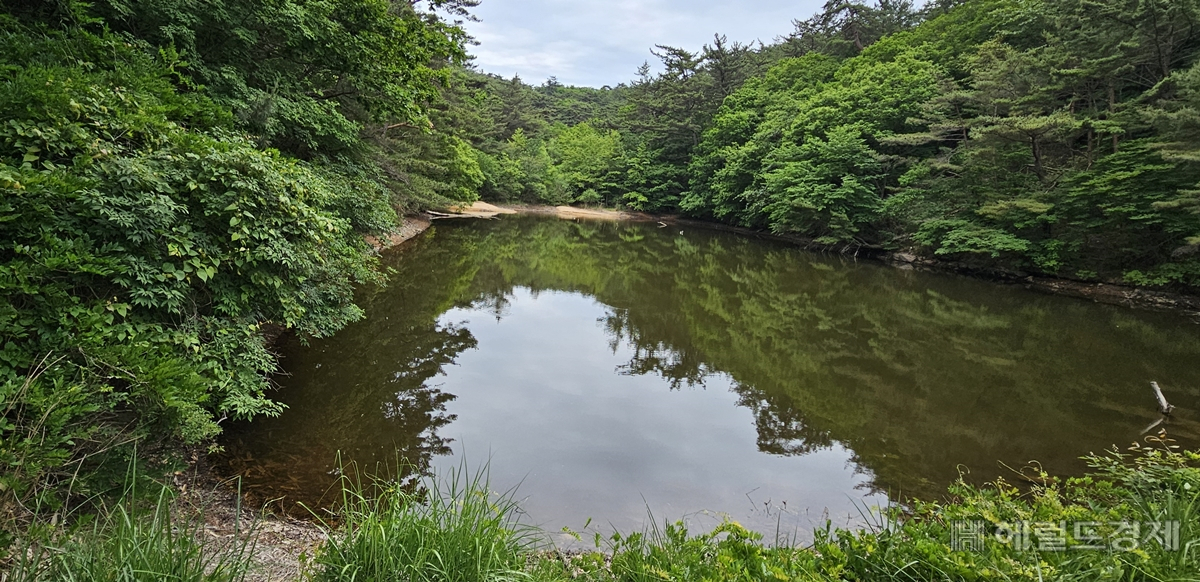 남산 고위지. 산속에 조성한 인공저수지다.