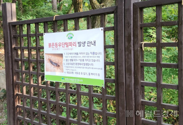 북한산에 붙어있는 러브버그 발생 안내문. [온라인 커뮤니티 갈무리]