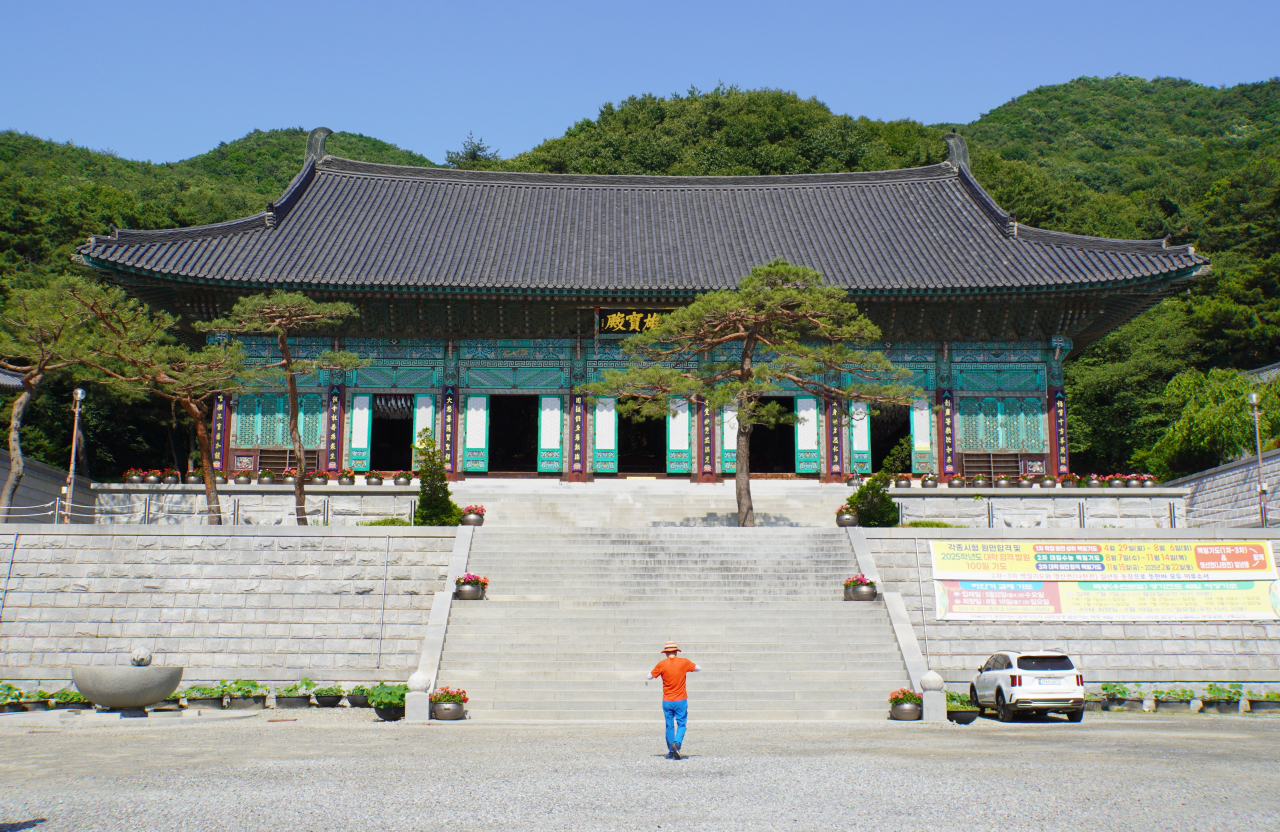 국민놀이터가 된 왕건 군단의 교두보, 천안 태조산[함영훈의 멋·맛·쉼]