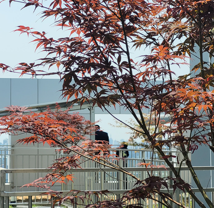 동작경찰서 소속 경찰관이 12일 고층건물 난간에 오른 남성을 구조하고 있다.[동작경찰서 제공]
