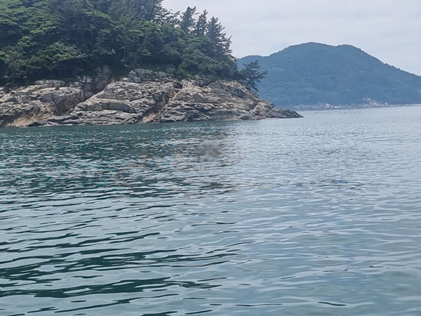 여수 안도 갯바위 사고 현장. [해경 제공]