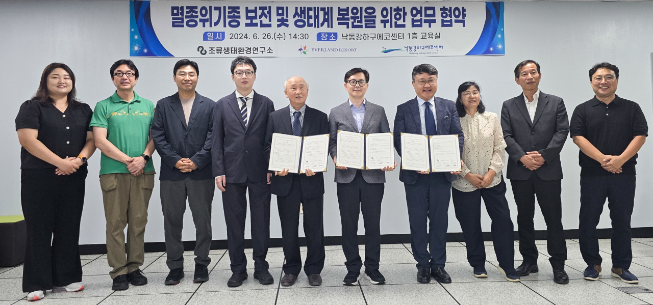 경기도 용인 포곡 태생 백조(큰 고니) 세 쌍둥이의 야생 적응을 도울 이모, 삼촌들