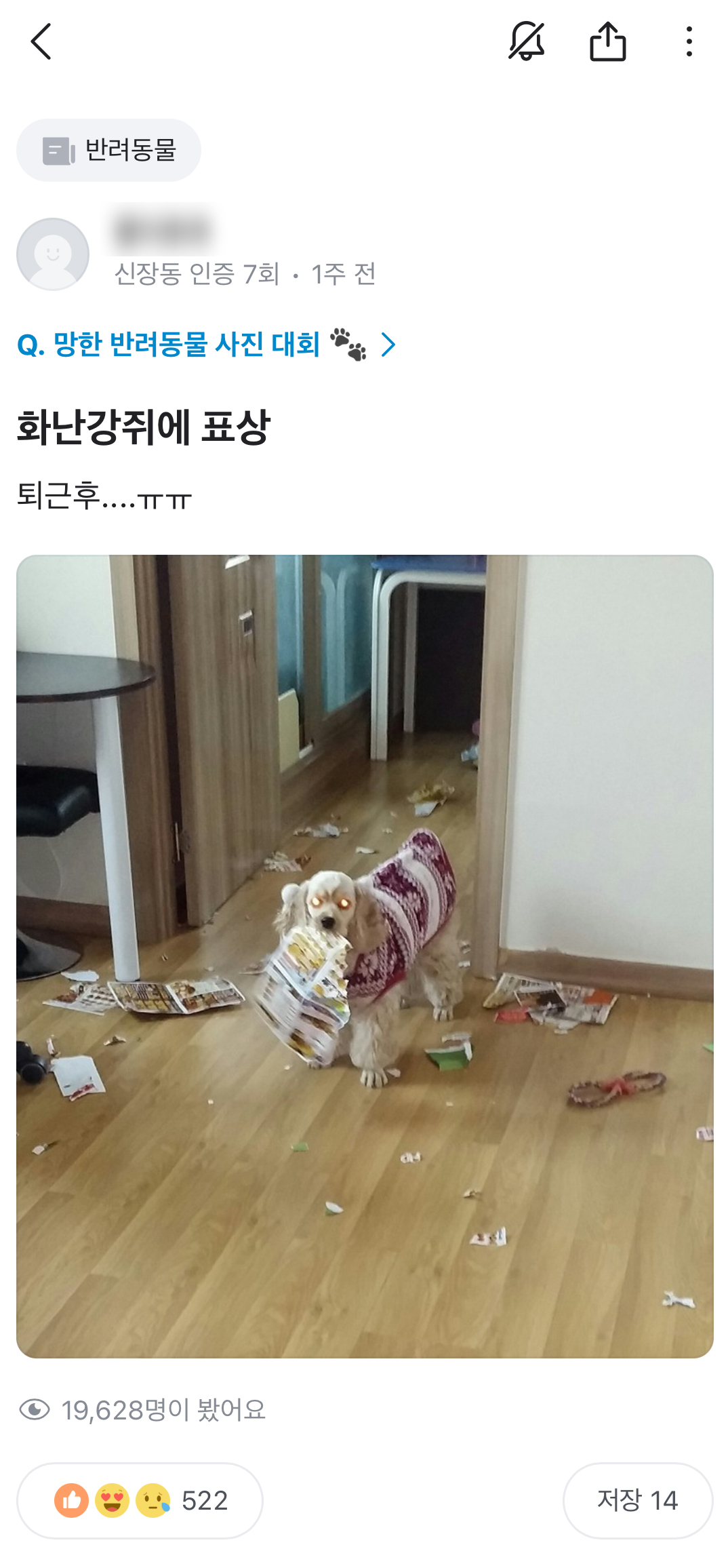 [당근 망한 반려동물 사진 대회 캡쳐]